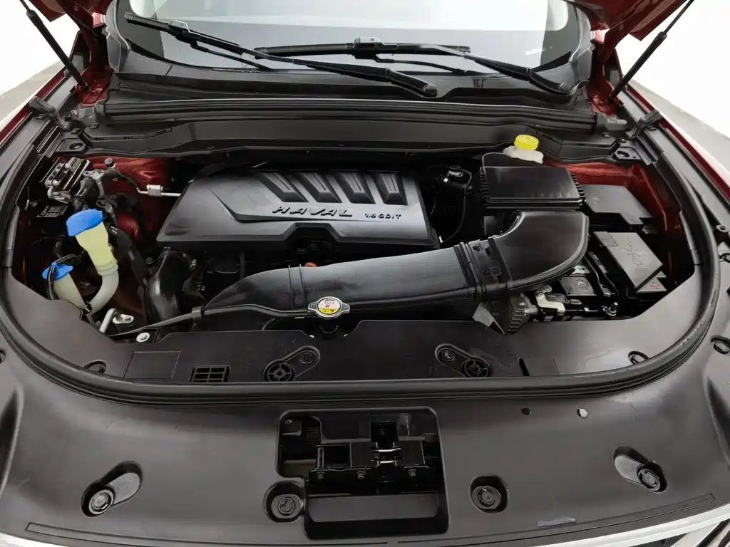 Haval H4 — миниатюра 6