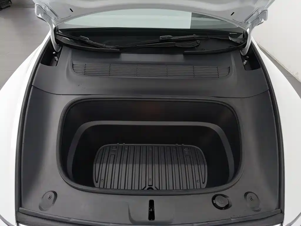 Tesla Model Y — миниатюра 6