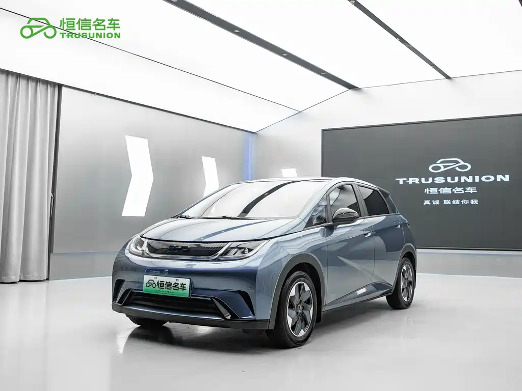 Byd Dolphin 2024
