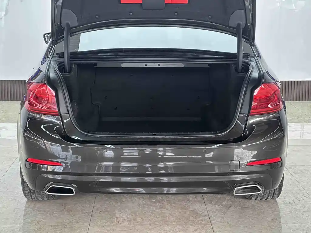 BMW 5 Series 5 2018 528Li