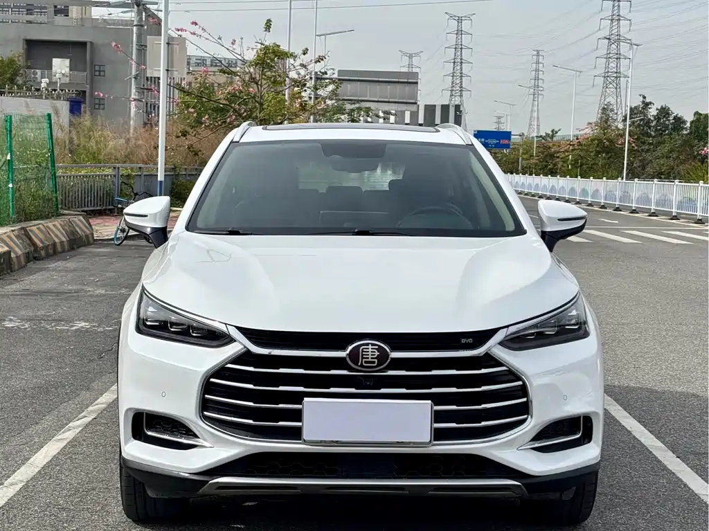 BYD Tang 2.0T Auto Connected Premium Type 7 seats China VI, фото 2