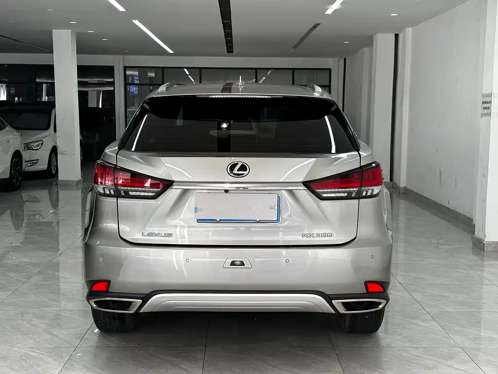 Lexus RX 2020 300 Elite VI