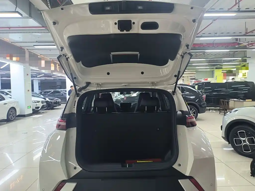 BYD Seagull — миниатюра 19