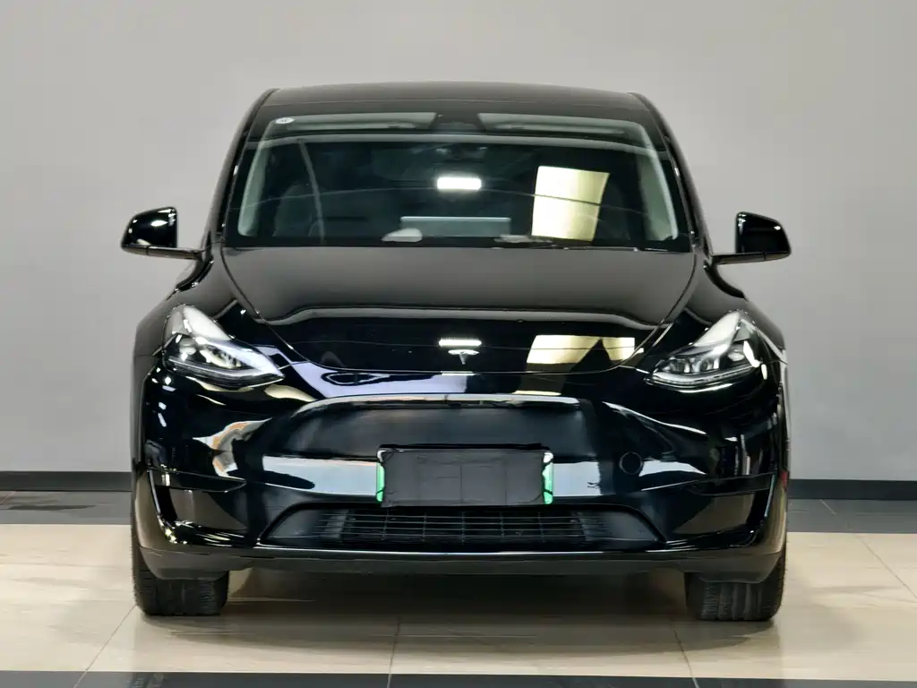 Tesla Model Y — миниатюра 2
