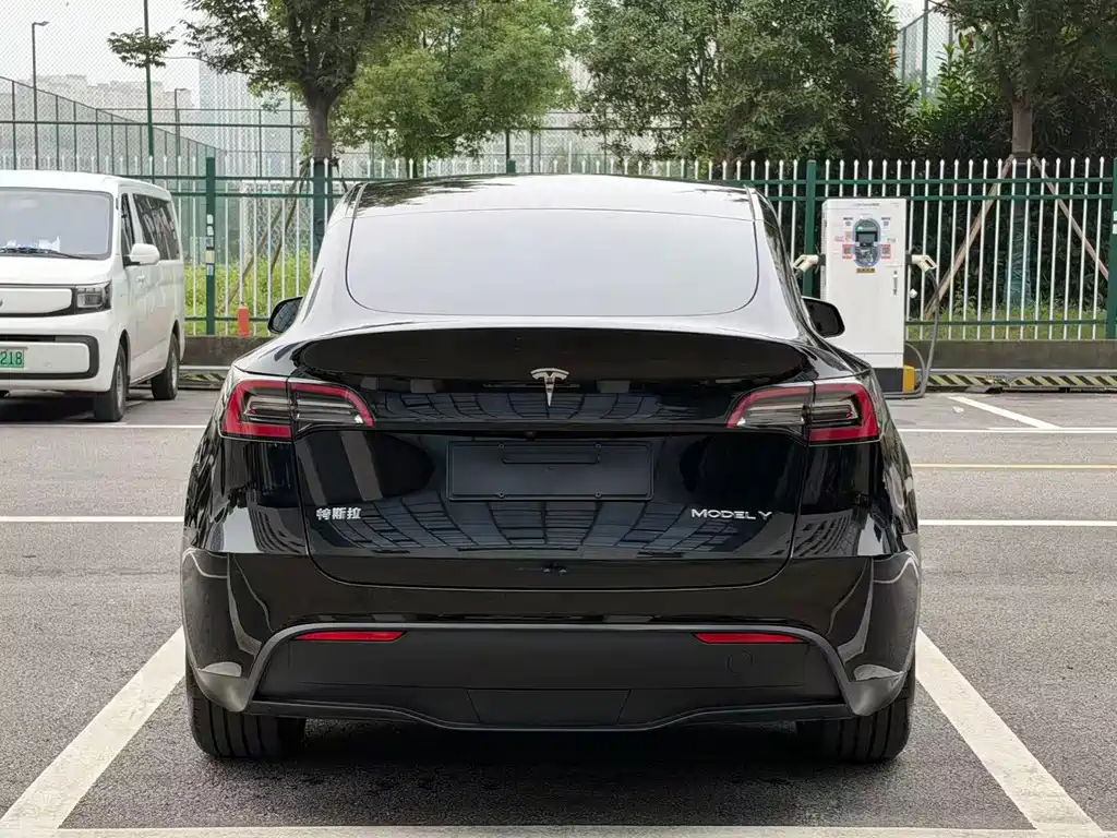 Tesla Model Y — миниатюра 5
