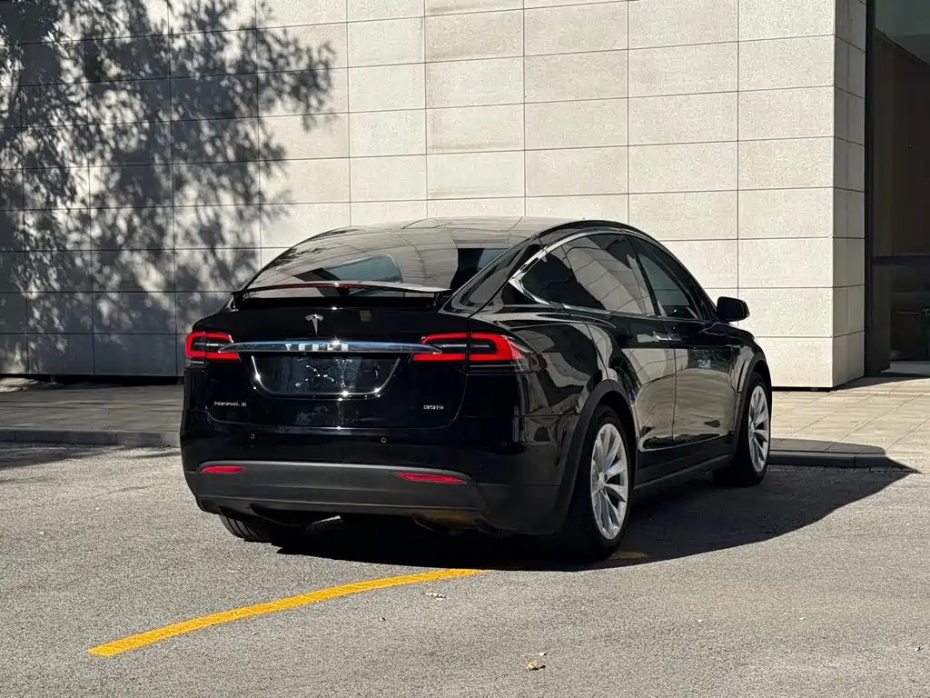Tesla Model X — миниатюра 22