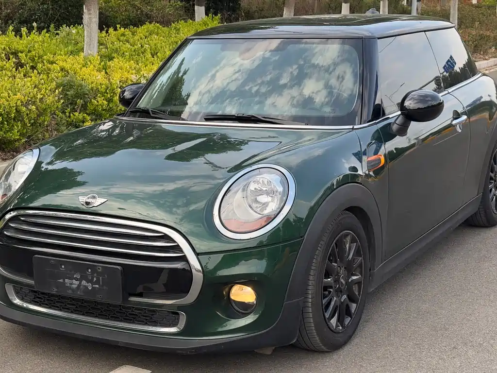 Mini Mini 2018