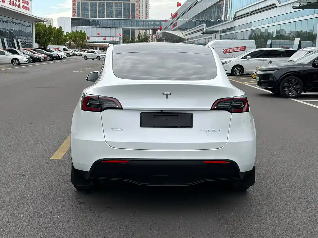 Tesla Model Y — миниатюра 8