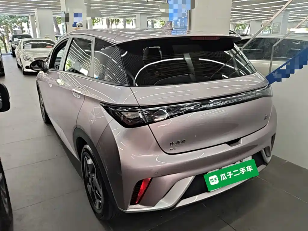 BYD Dolphin — миниатюра 5