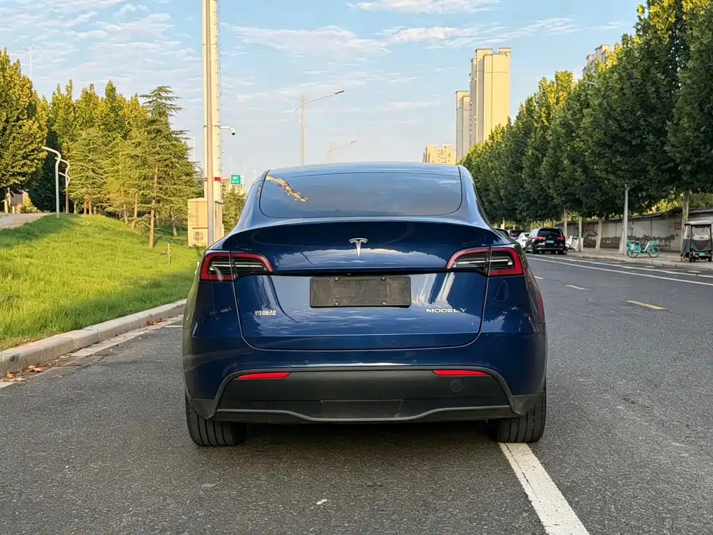 Tesla Model Y — миниатюра 16