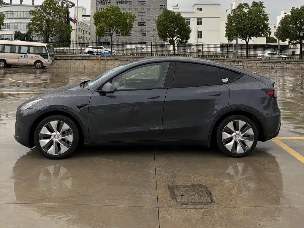 Tesla Model Y — миниатюра 3
