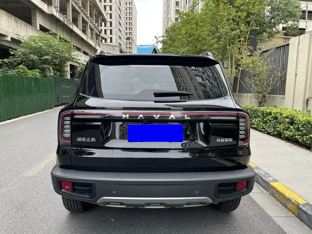 Haval 长城大狗 — миниатюра 8