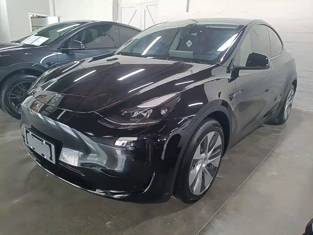 Tesla Model Y — миниатюра 2