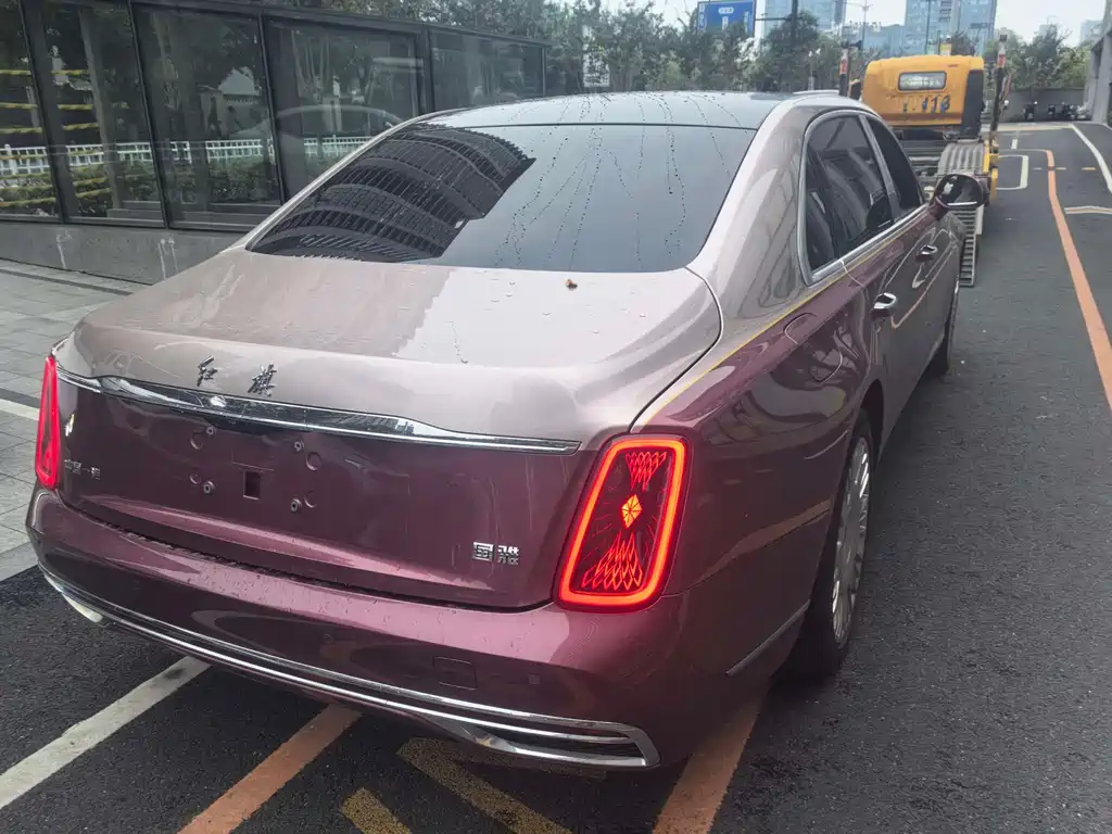 Hongqi Hongqi Golden Sunflower Guoya — миниатюра 3