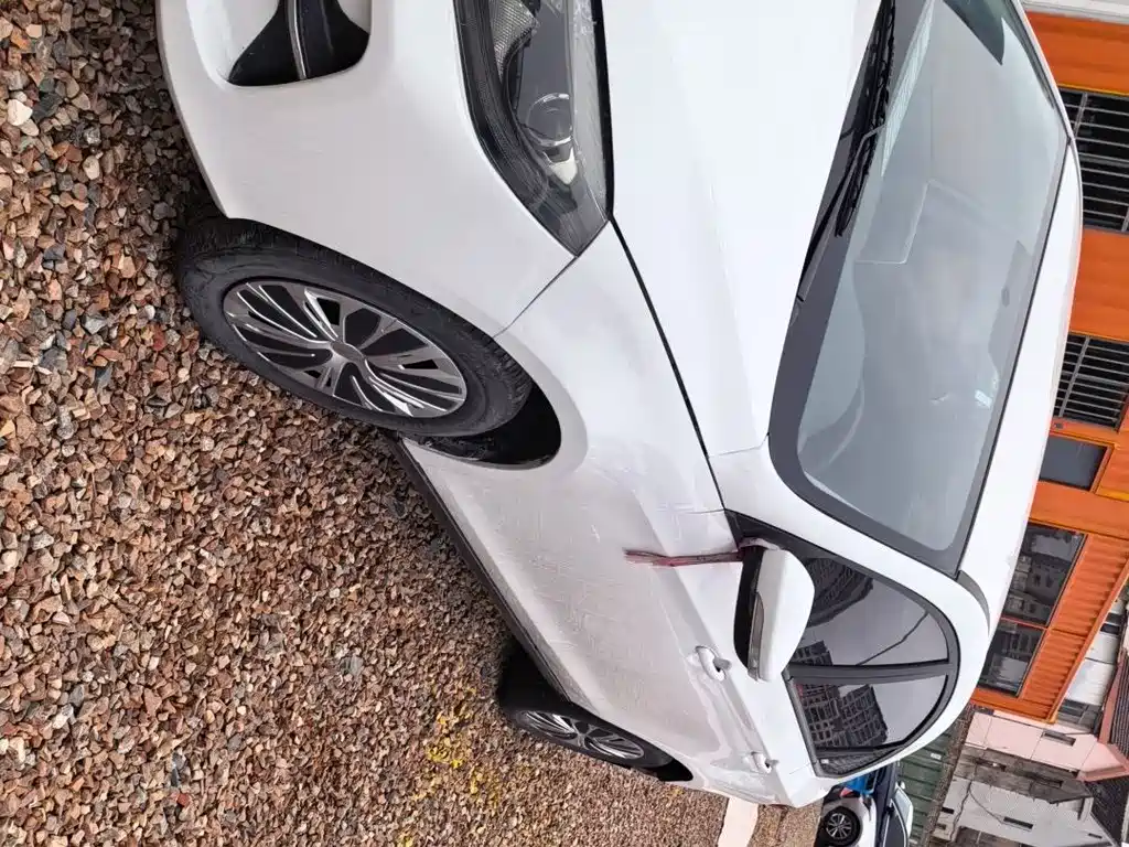 DONGFENG POPULAR S60EV