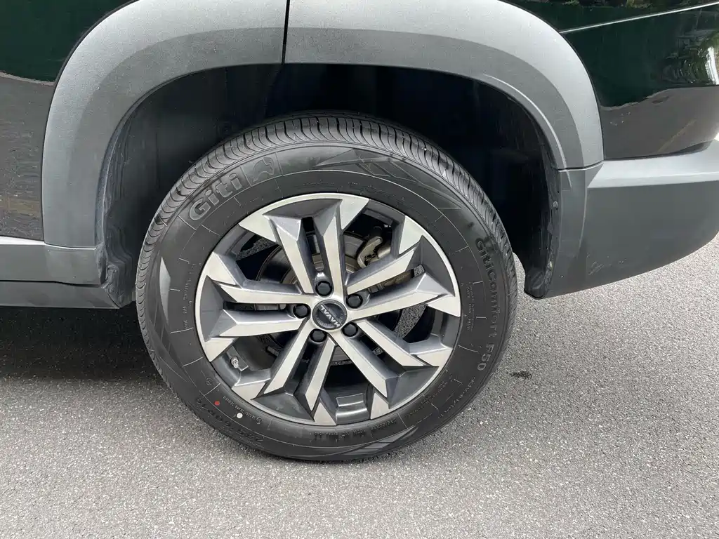 Haval 长城大狗 — миниатюра 9