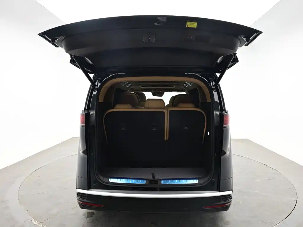 Denza Denza D9 — миниатюра 8