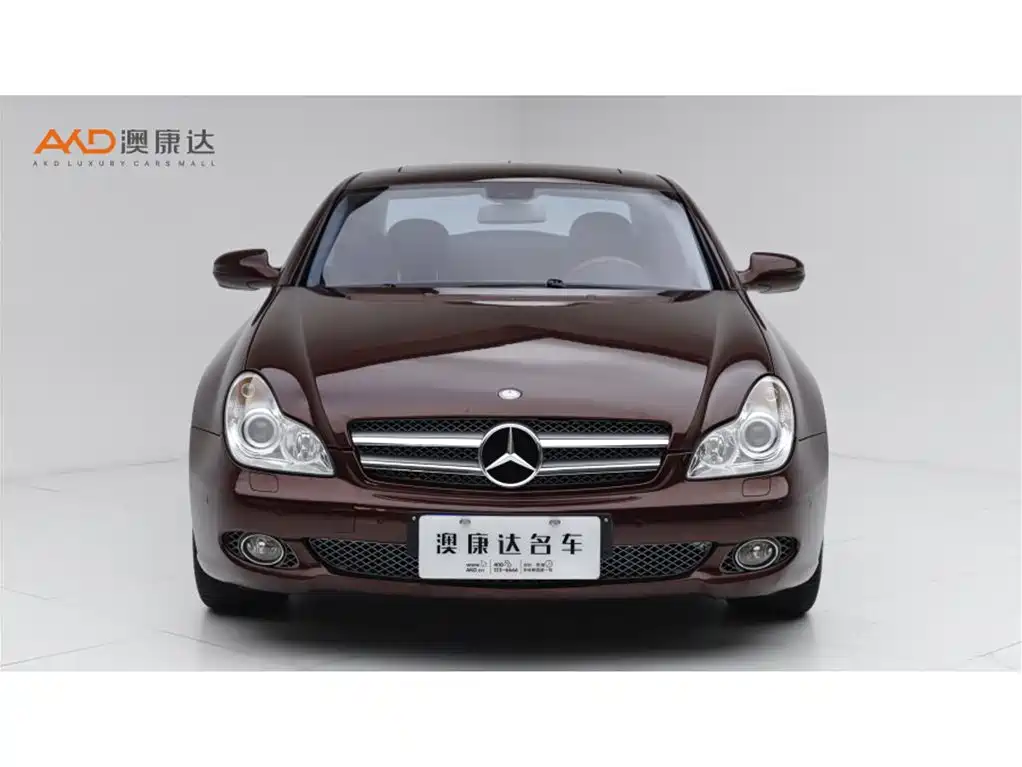 Mercedes-Benz CLS 2009 CLS 300