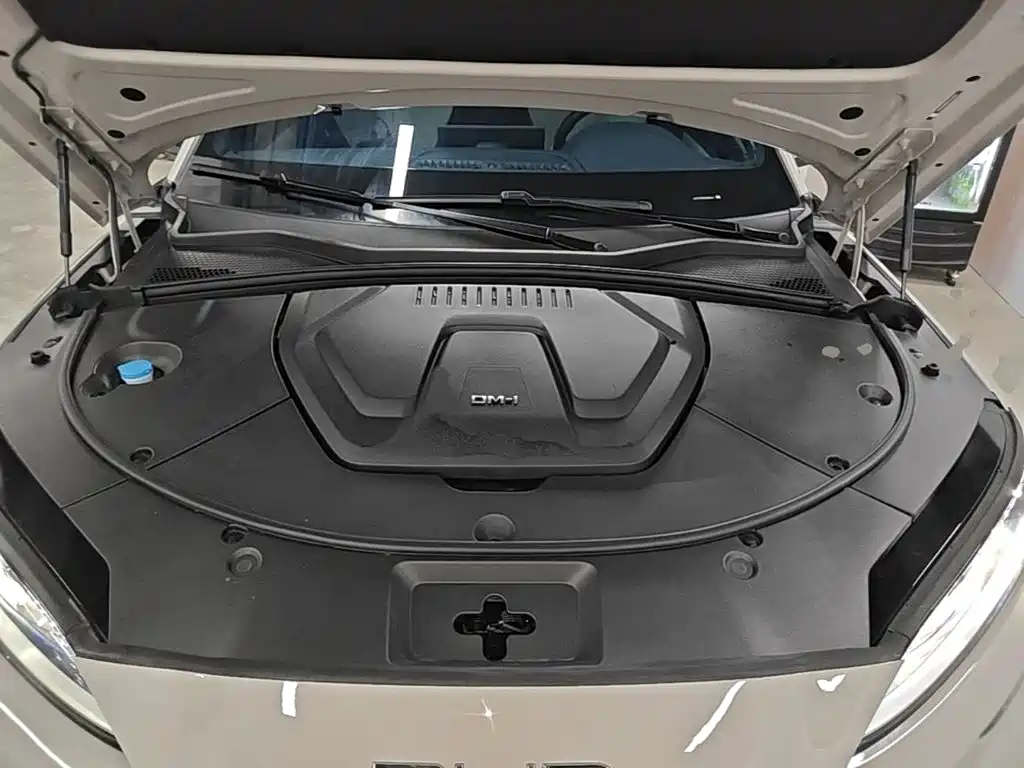 BYD PLUS New Energy — миниатюра 20