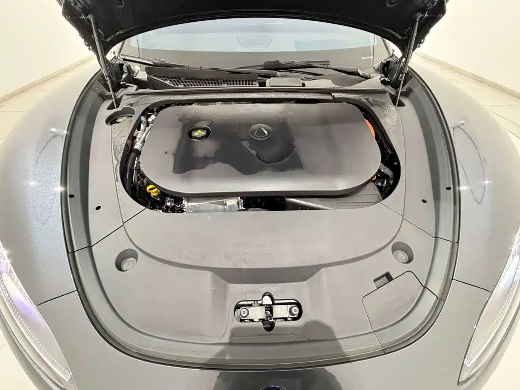 Denza Denza Z9 — миниатюра 12