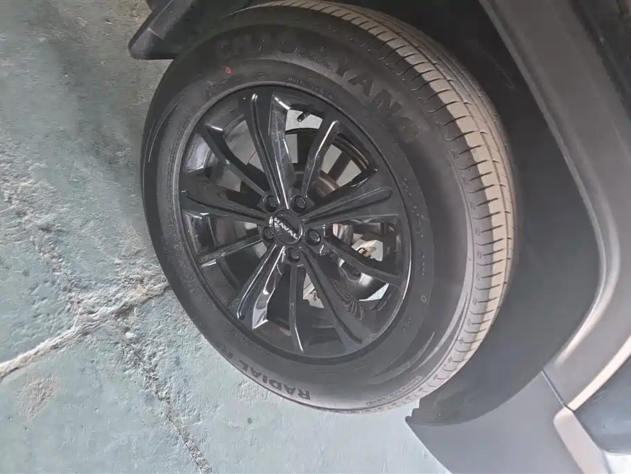 HAVAL RAPTORS NEW ENERGY