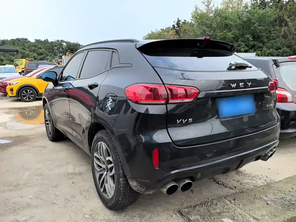 Wey Wey VV5 — миниатюра 5
