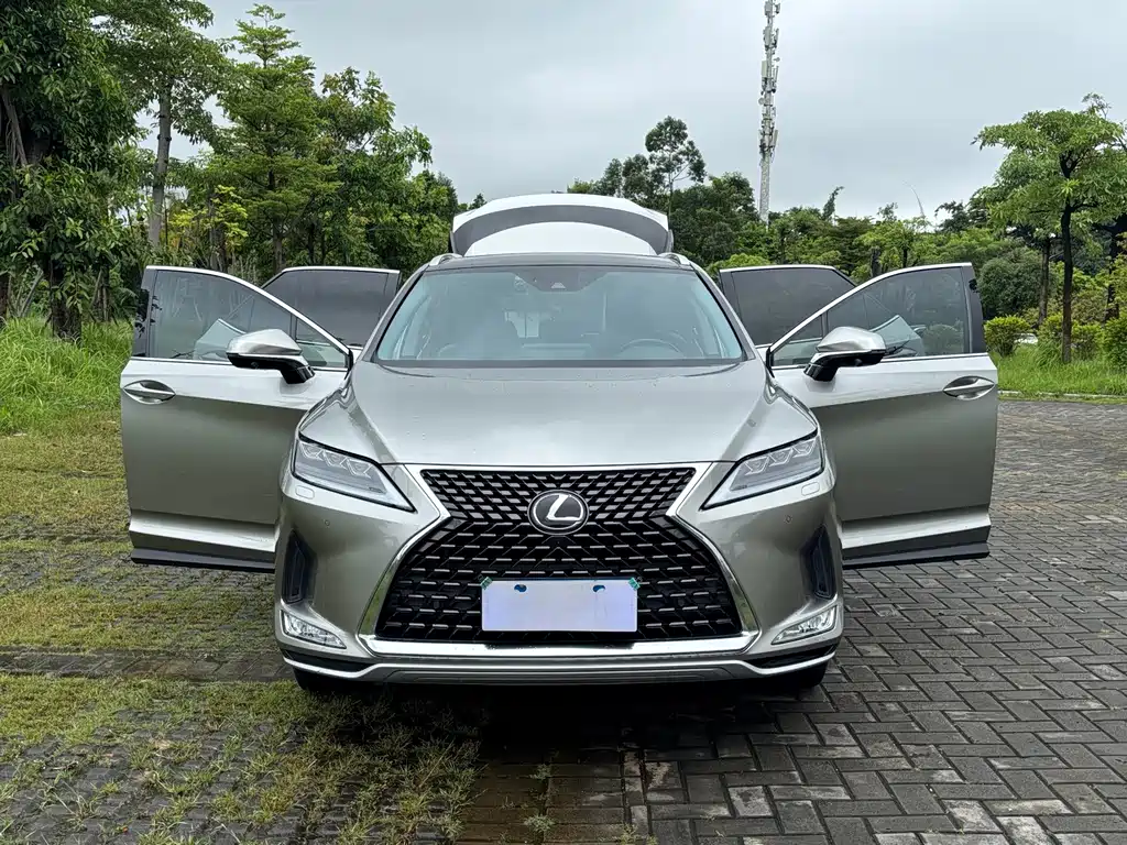 Lexus RX — миниатюра 16