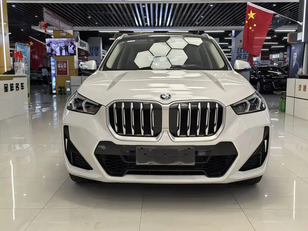 BMW X1 — миниатюра 2