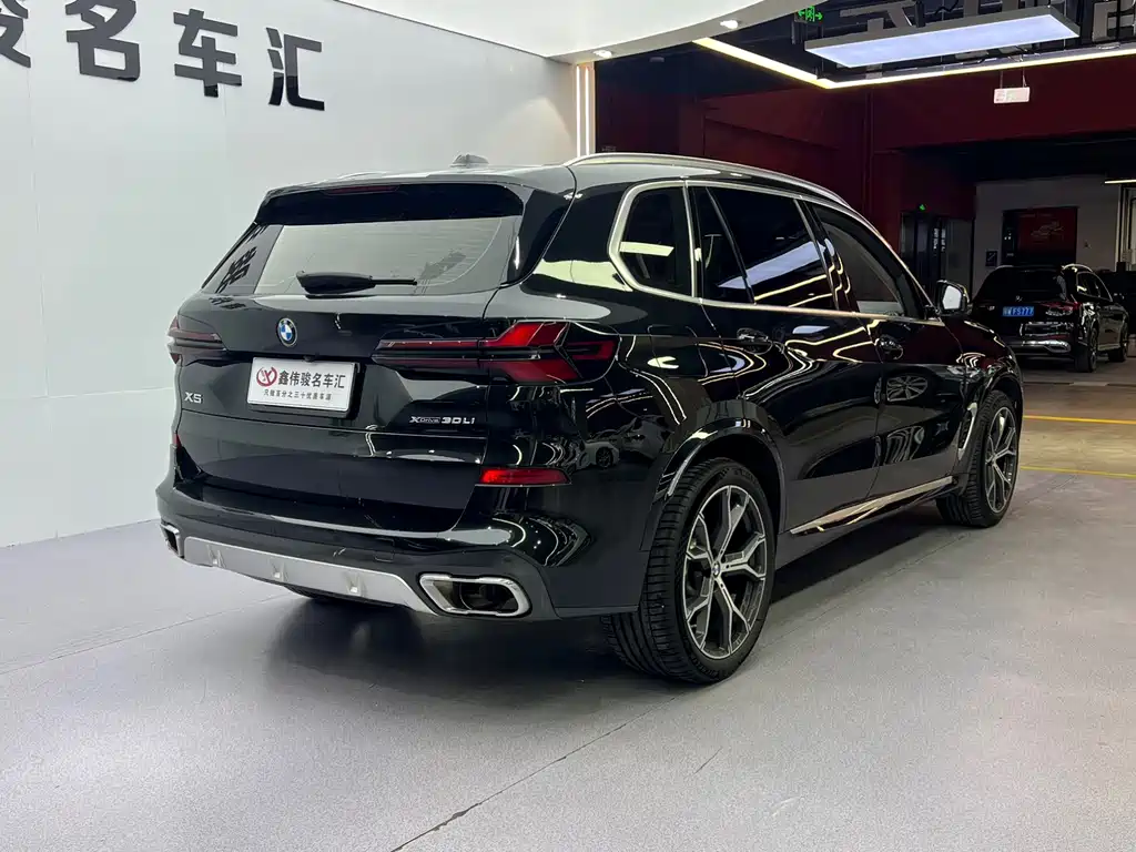 BMW X5 — миниатюра 15