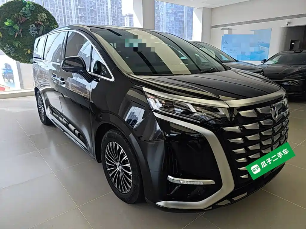 Denza Denza D9 — миниатюра 4