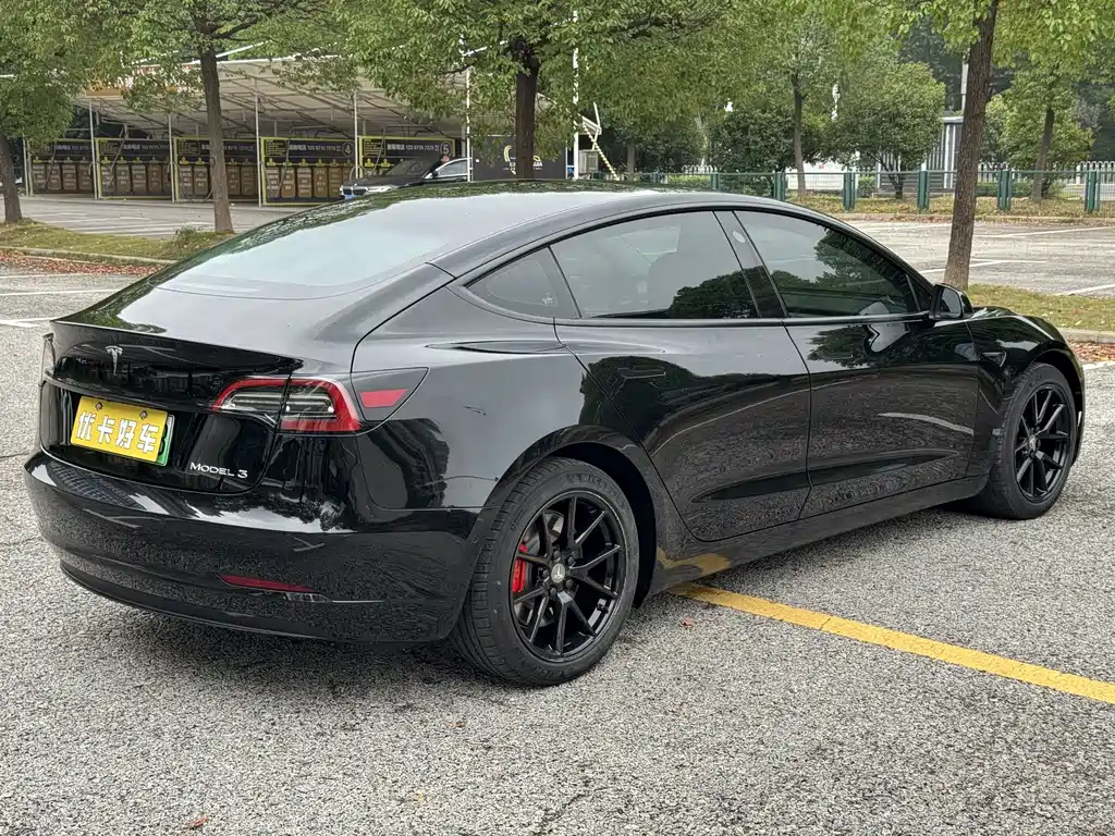 Tesla Model 3 — миниатюра 4