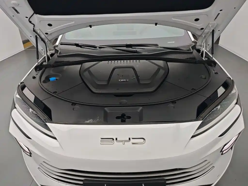 BYD PLUS New Energy — миниатюра 20