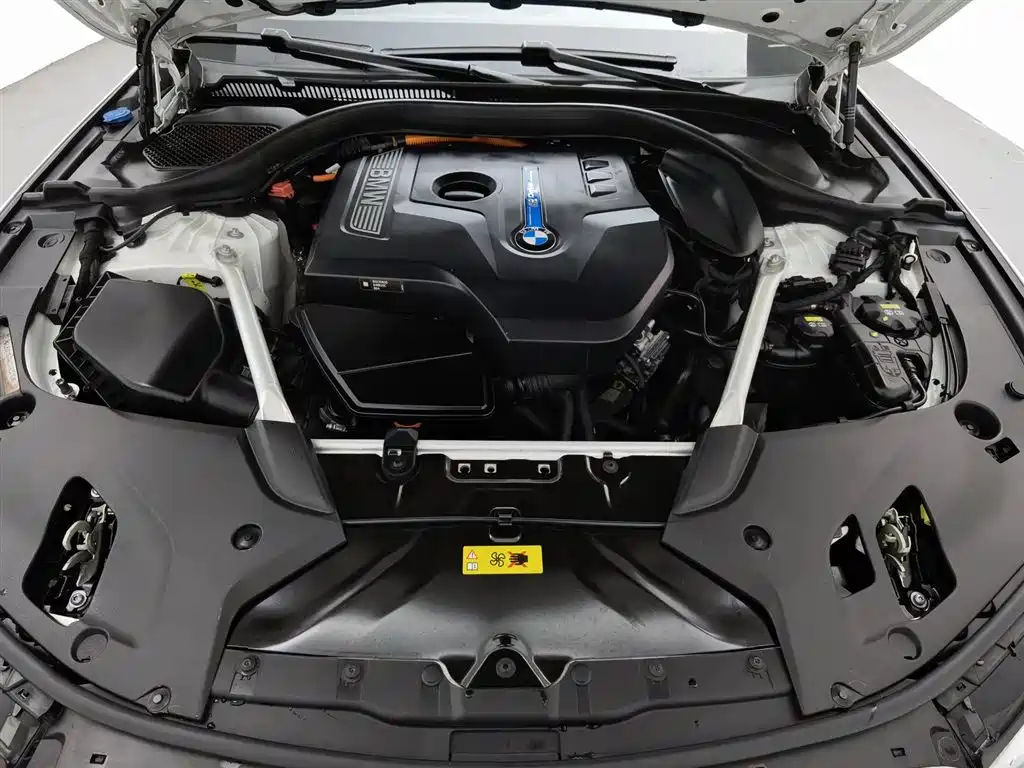 BMW 5 Series 5 2020 530Le Luxury