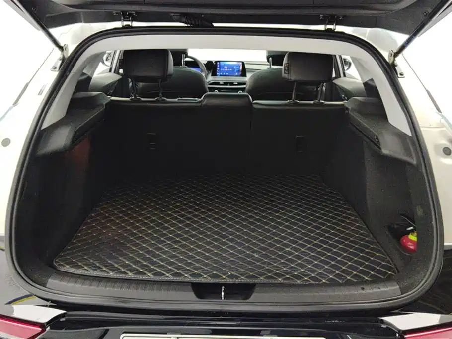 BUICK SLIGHTLY BLUE 6