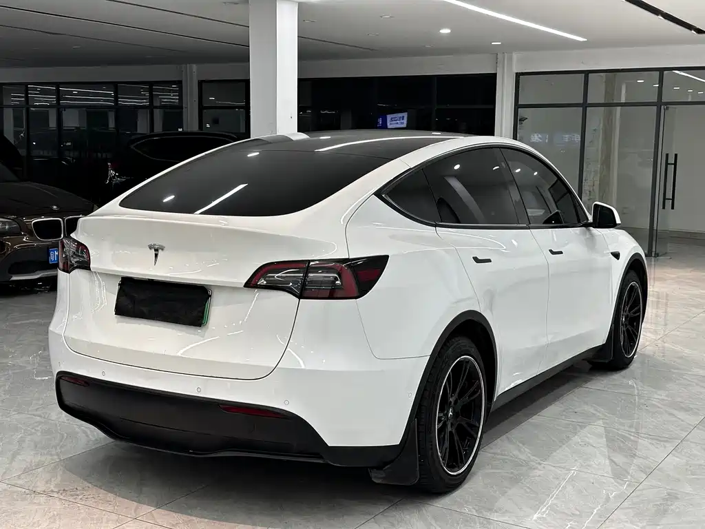 Tesla Model Y — миниатюра 14