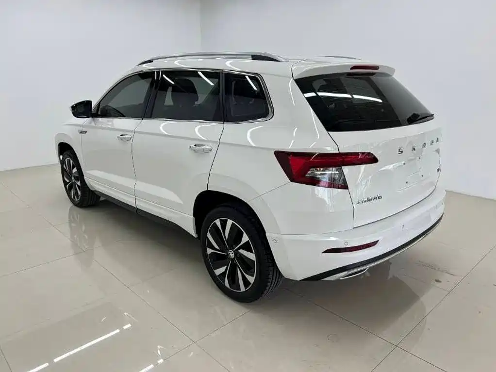 Skoda Karoq — миниатюра 6