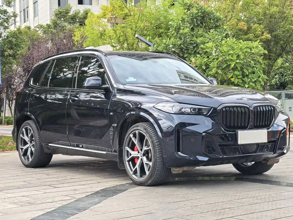 BMW X5 — миниатюра 3