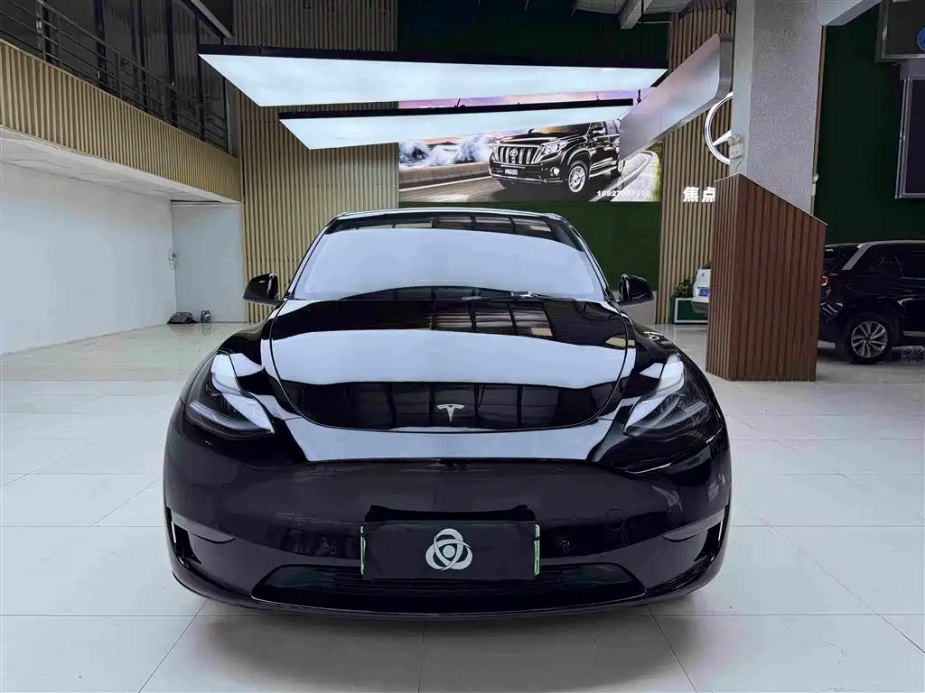 Tesla Model Y — миниатюра 2