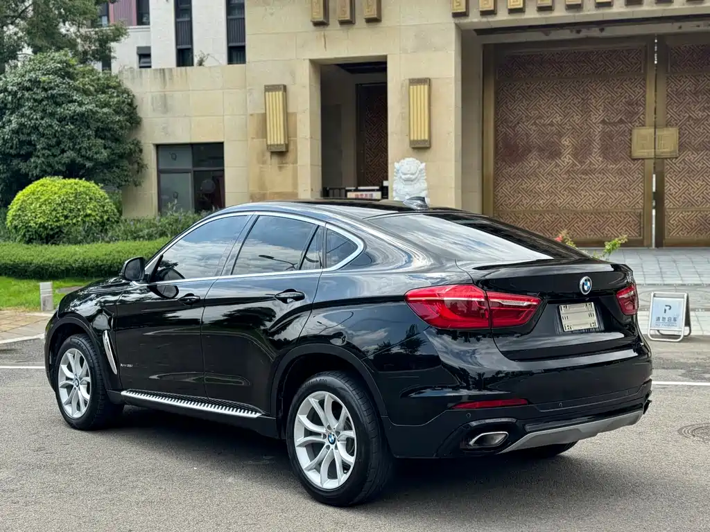 BMW X6 — миниатюра 17