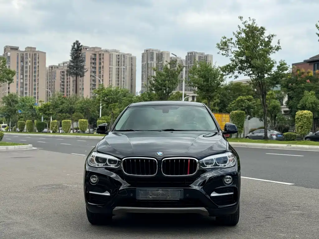 BMW X6 — миниатюра 2