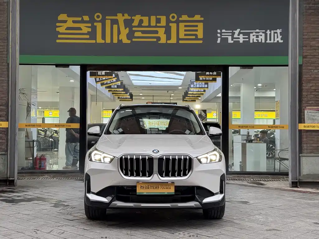 BMW X1 — миниатюра 2