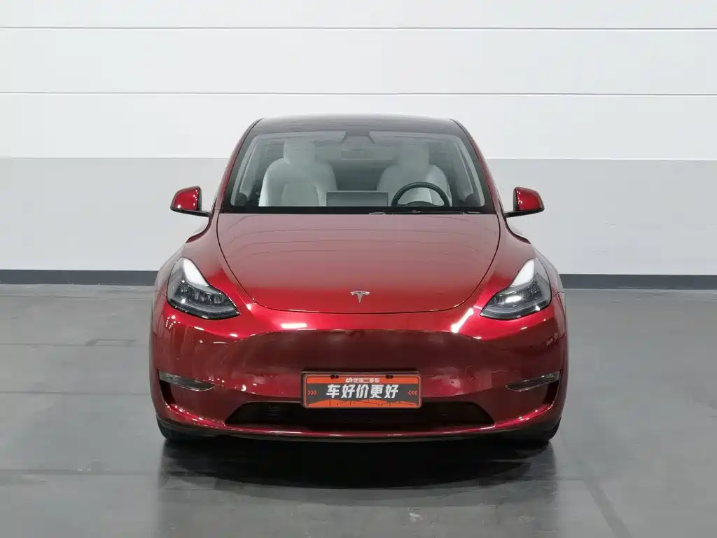 Tesla Model Y — миниатюра 3