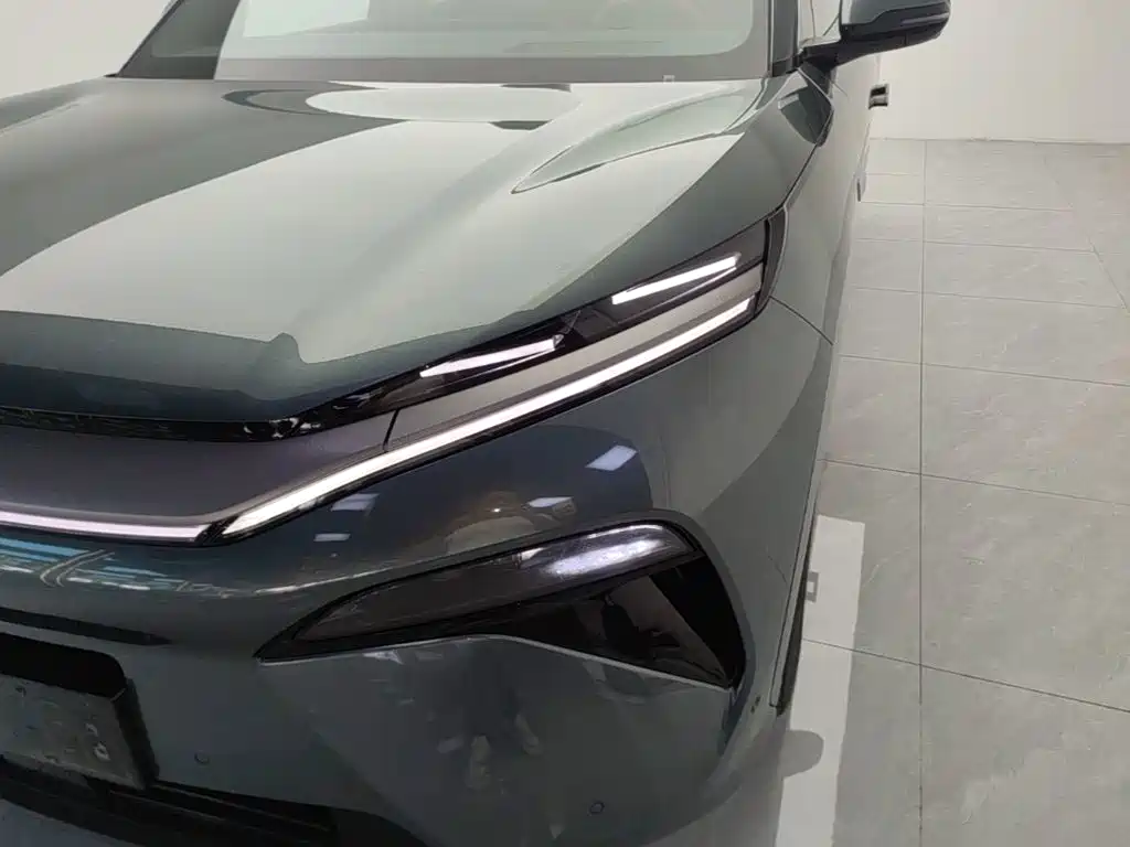 BYD Дон Л. — миниатюра 24