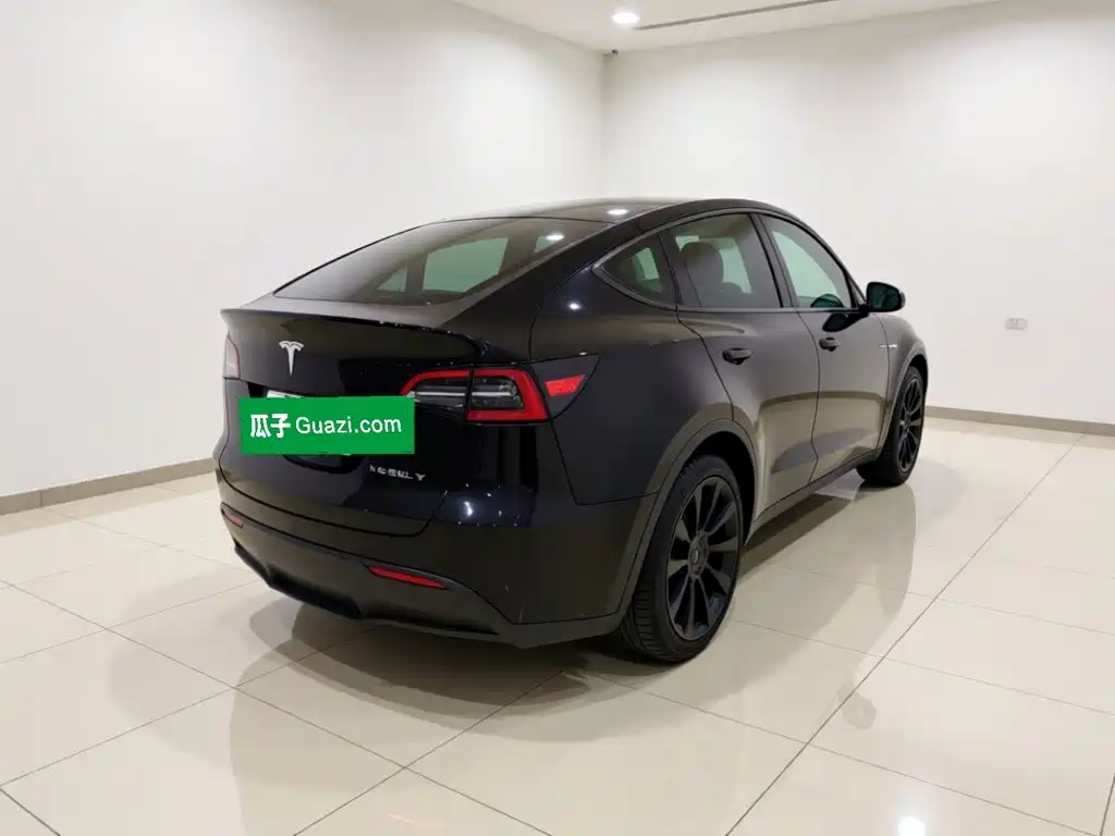 Tesla Model Y — миниатюра 6
