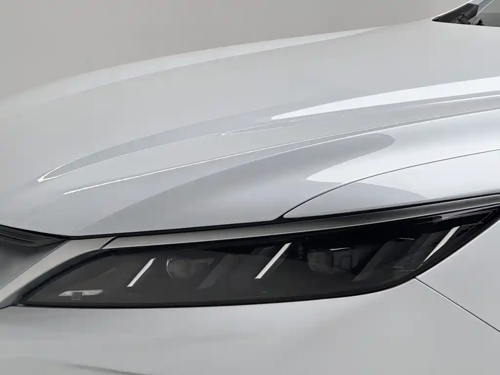 BYD SONGJIANG NEW ENERGY