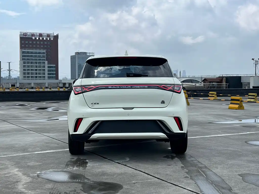 BYD Dolphin 2023 420km Fashion