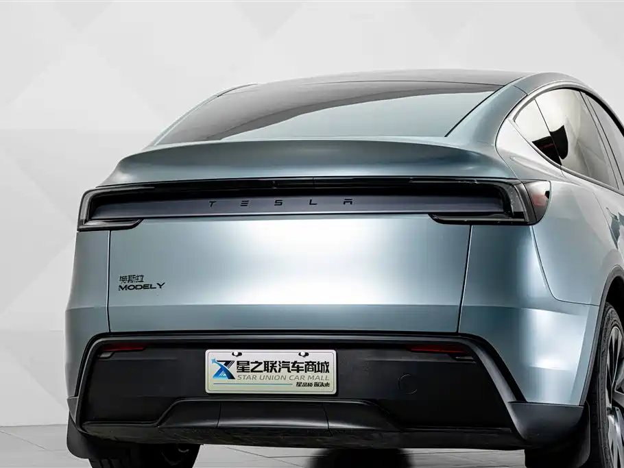 Tesla Model Y — миниатюра 7
