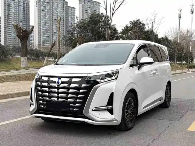 2023 Denza D9