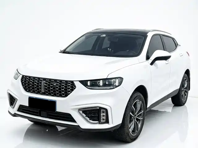 2021 Wey VV5