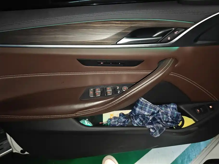 BMW 5 SERIES NEW ENERGY